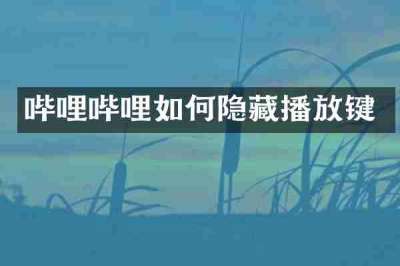 哔哩哔哩如何隐藏播放键
