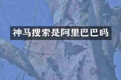 神马搜索是阿里巴巴吗