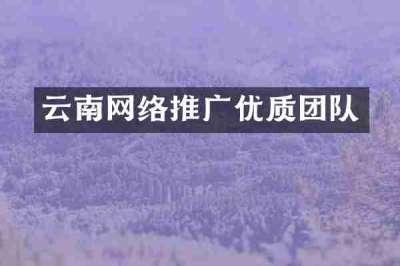 云南网络推广优质团队