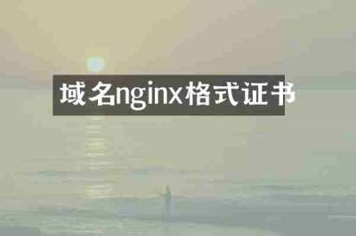 域名nginx格式证书