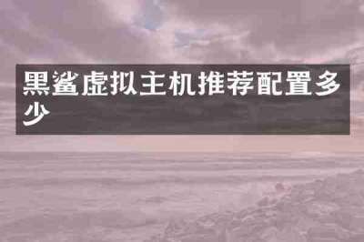 黑鲨虚拟主机推荐配置多少