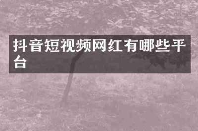 抖音短视频网红有哪些平台