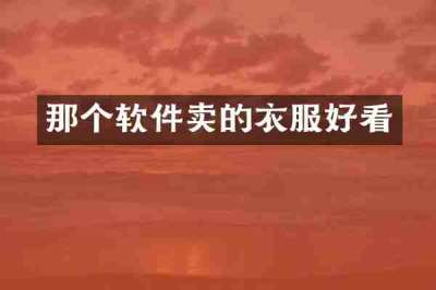 那个软件卖的衣服好看
