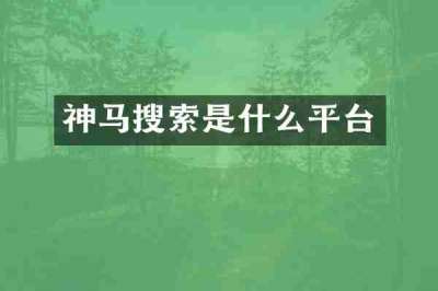 神马搜索是什么平台