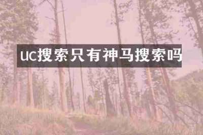 uc搜索只有神马搜索吗