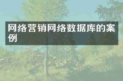 网络营销网络数据库的案例