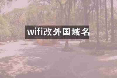 wifi改外国域名