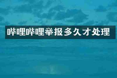 哔哩哔哩举报多久才处理