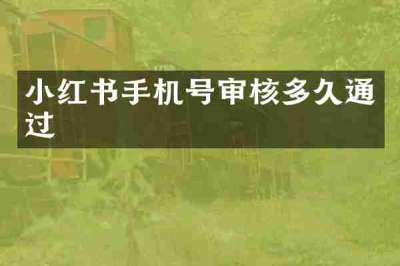 小红书手机号审核多久通过
