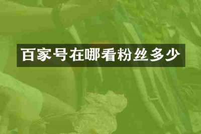 百家号在哪看粉丝多少
