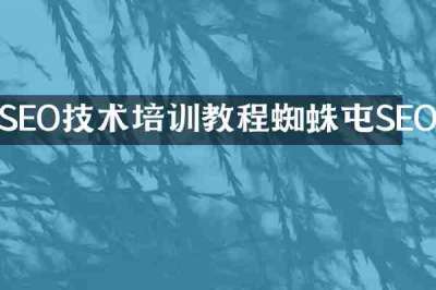 SEO技术培训教程蜘蛛屯SEO
