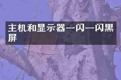 主机和显示器一闪一闪黑屏