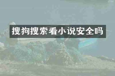 搜狗搜索看小说安全吗