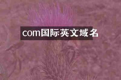 com国际英文域名