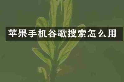 苹果手机谷歌搜索怎么用