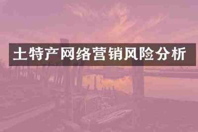 土特产网络营销风险分析