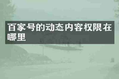 百家号的动态内容权限在哪里