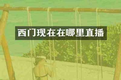 西门现在在哪里直播