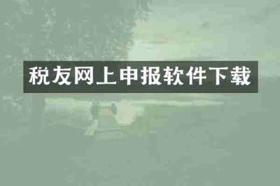 税友网上申报软件下载