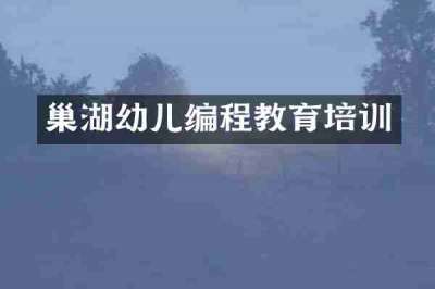 巢湖幼儿编程教育培训