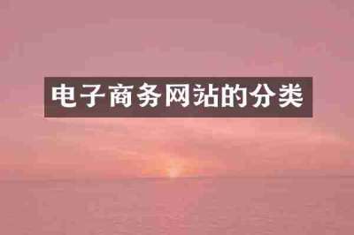 电子商务网站的分类