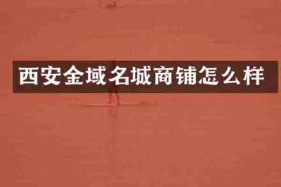 西安金域名城商铺怎么样