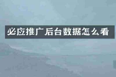 必应推广后台数据怎么看