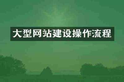大型网站建设操作流程