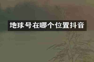 地球号在哪个位置抖音