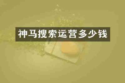 神马搜索运营多少钱