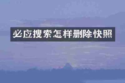 必应搜索怎样删除快照