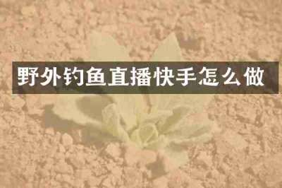 野外钓鱼直播快手怎么做