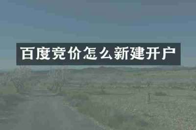 百度竞价怎么新建开户