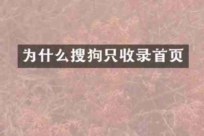 为什么搜狗只收录首页