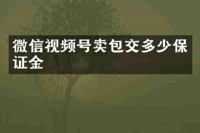 微信视频号卖包交多少保证金