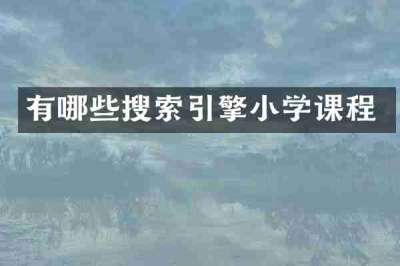 有哪些搜索引擎小学课程