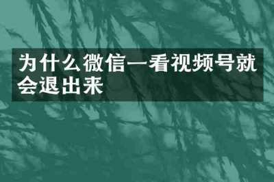 为什么微信一看视频号就会退出来