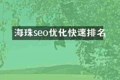 海珠seo优化快速排名