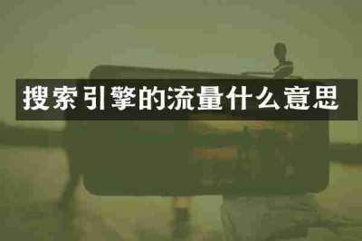 搜索引擎的流量什么意思