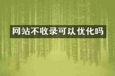 网站不收录可以优化吗