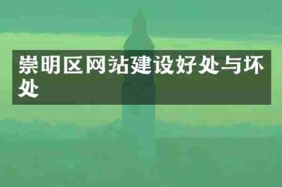 崇明区网站建设好处与坏处