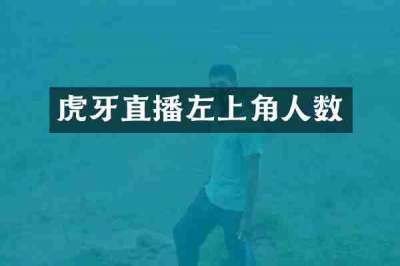 虎牙直播左上角人数