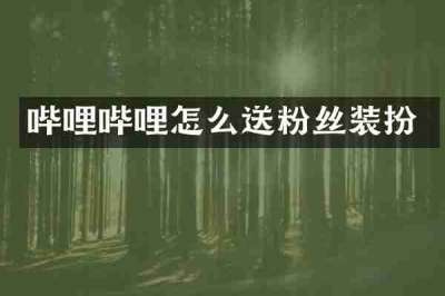 哔哩哔哩怎么送粉丝装扮