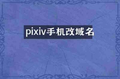 pixiv手机改域名