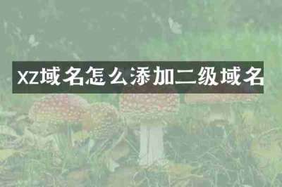 xz域名怎么添加二级域名