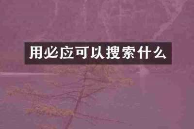 用必应可以搜索什么