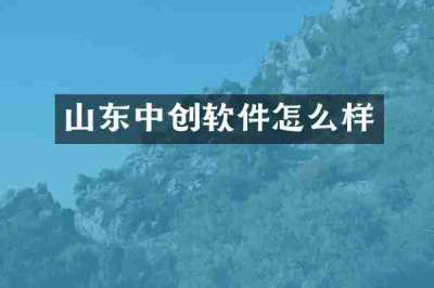 山东中创软件怎么样