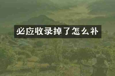 必应收录掉了怎么补