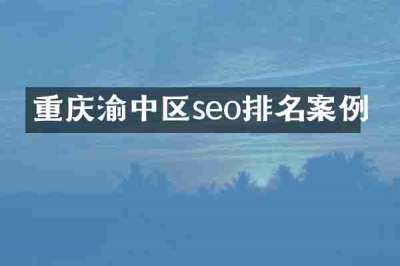 重庆渝中区seo排名案例