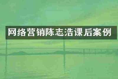 网络营销陈志浩课后案例